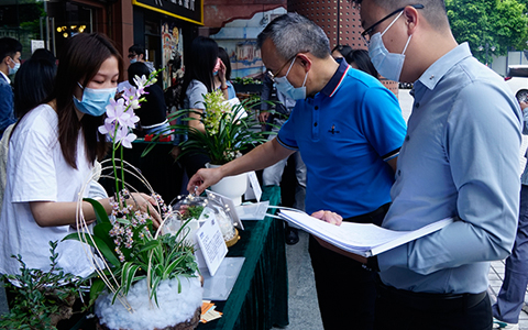 完美体育园艺康养盆栽竞赛圆满举行，现场精彩缤纷~